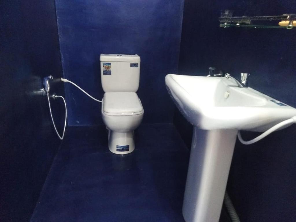 Forest Cyniciam Homestay - 1