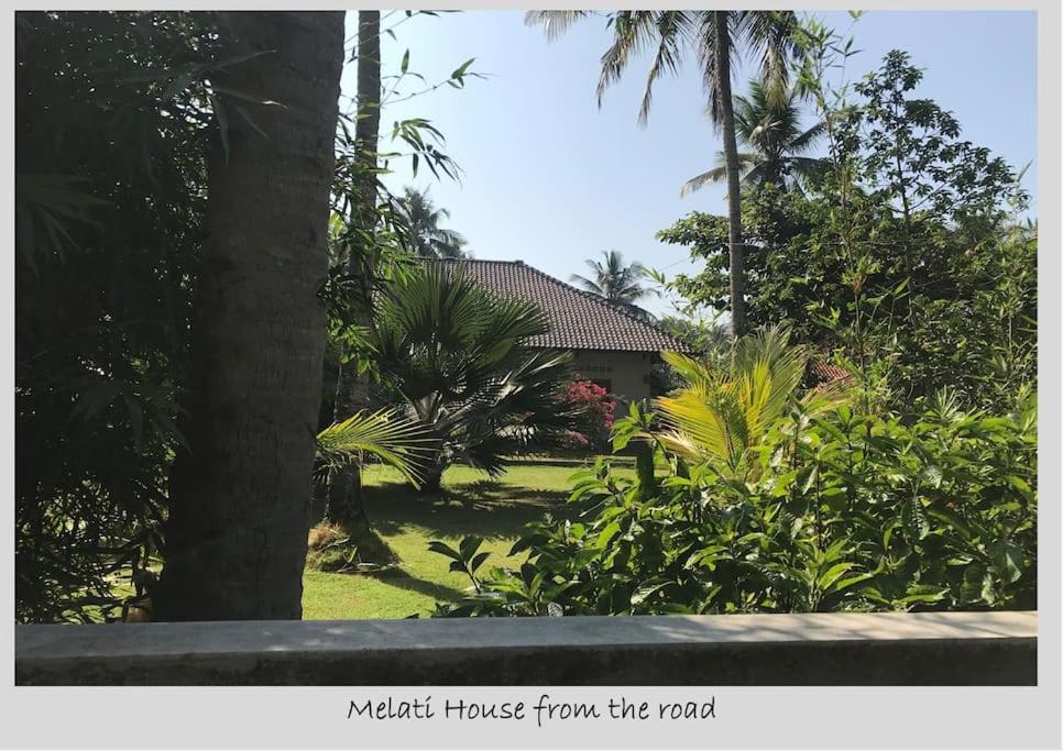 un patio con palmeras y una casa al fondo en Melati House Batukaras en Batukaras