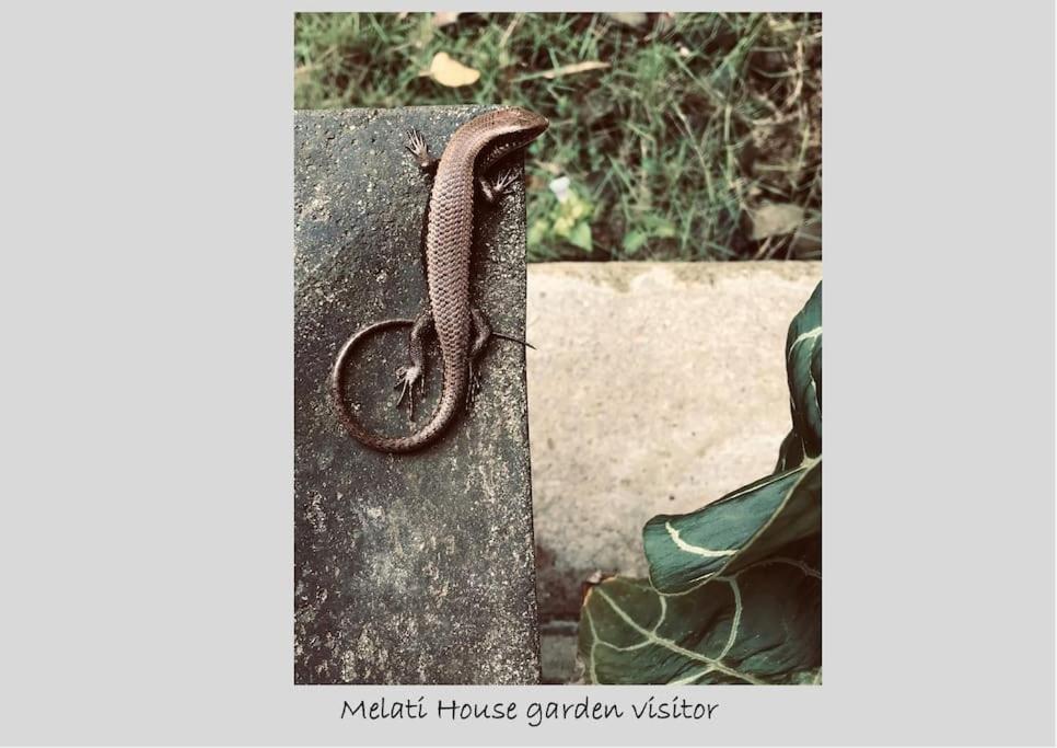 Fotografie z fotogalerie ubytování Melati House Batukaras v destinaci Batukaras