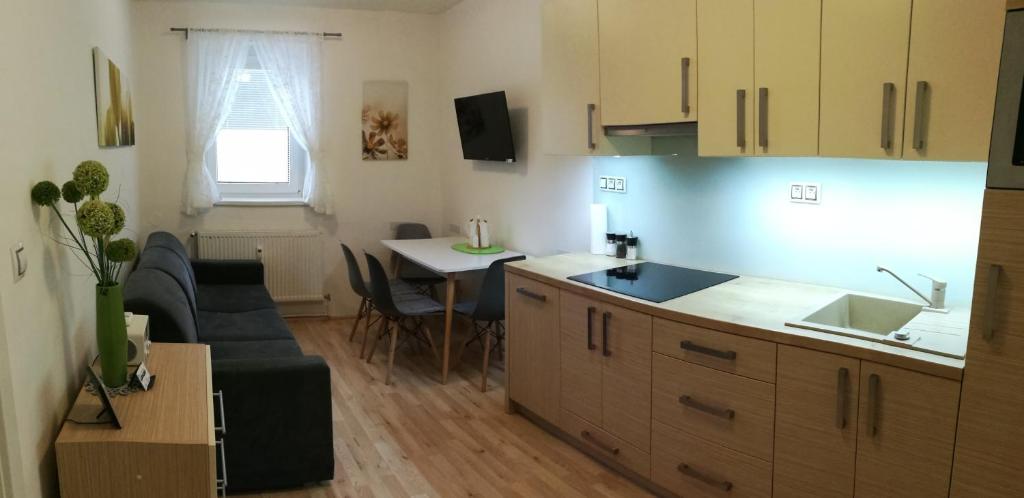 kuchnia i salon z kanapą i stołem w obiekcie Apartmán Cardovi w mieście Dolní Morava