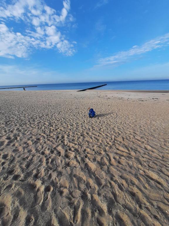 un objeto azul sentado en una playa de arena en Baltic Sea Apartment, en Dziwnówek