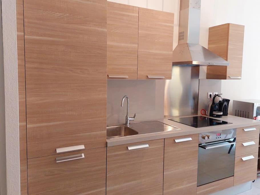 a kitchen with wooden cabinets and a sink at Appartement Roussillon in Roussillon