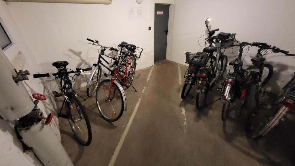 Jízda na kole v ubytování FeWo Höftsee-Blick nebo okolí