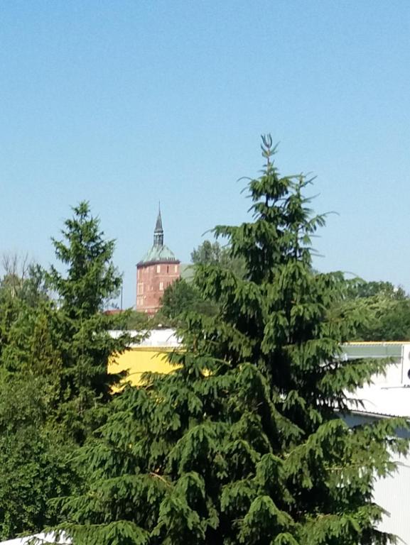 Príroda v okolí apartmánu