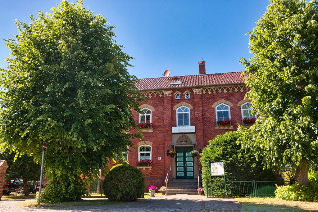 ein rotes Backsteinhaus mit einem Baum davor in der Unterkunft Deluxe Apartments der "Alten Apotheke" Prerow in Prerow