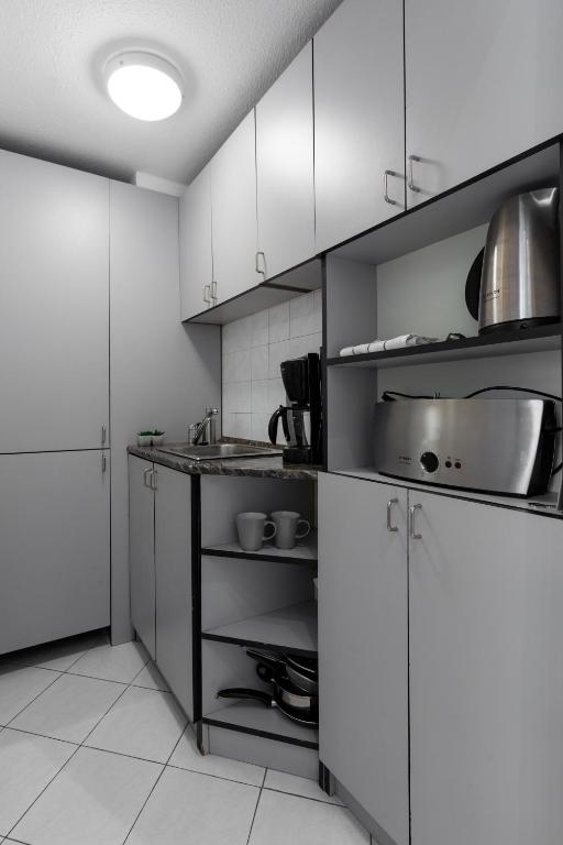 Kuchyňa alebo kuchynka v ubytovaní Downtown Apartment in the Heart of Budapest