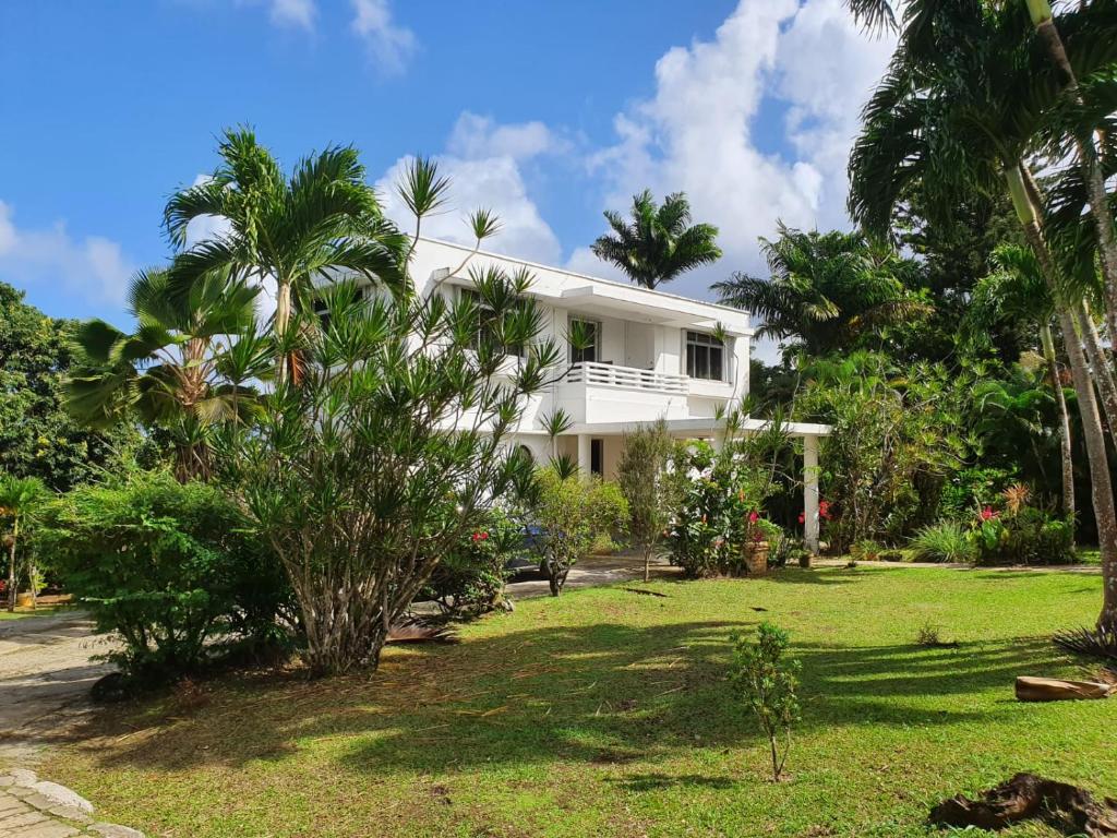 une maison blanche avec des palmiers dans une cour dans l'établissement Habitation Villa Les Cassias, à Petit-Bourg