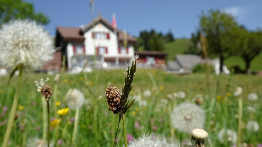 Zahrada ubytování Gasthaus Schwand
