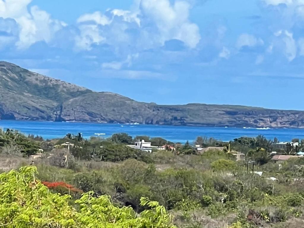 uitzicht op een waterlichaam met bergen bij Indira Villa 3 in Roche Terre