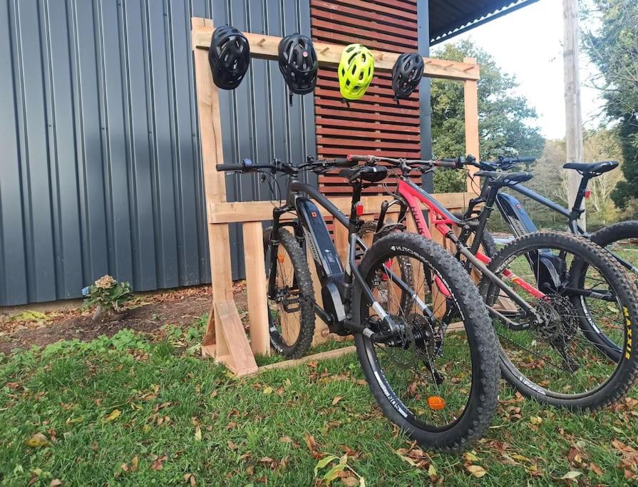 Jízda na kole v ubytování Bulle Hirondelle nebo okolí