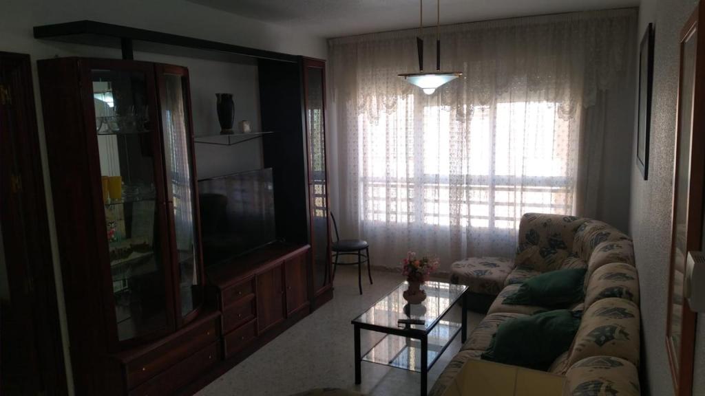 a living room with a couch and a tv at APARTAMENTO LUMINOSO EN URBANIZACIÓN PRIVADA in Granada