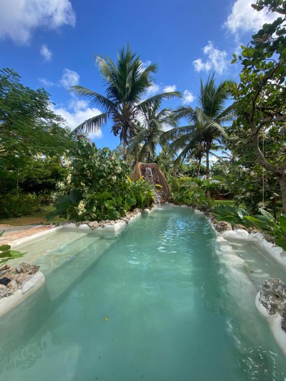 a pool on a beach with palm trees at Aventura Rincon Ecolodge in Las Galeras