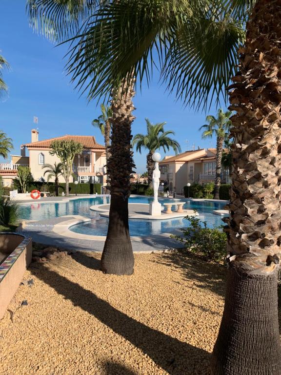 two palm trees in front of a swimming pool at Schönes Ferienbungalow in Los Altos Torrevieja in Torrevieja