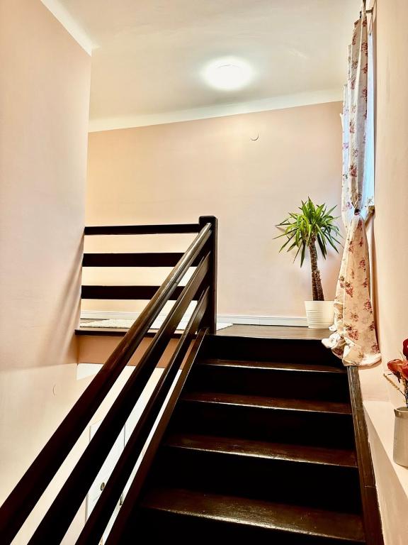 Fotografie z fotogalerie ubytování SternenHimmel - Romantik Zimmer !klimatisiert! v destinaci Gamlitz