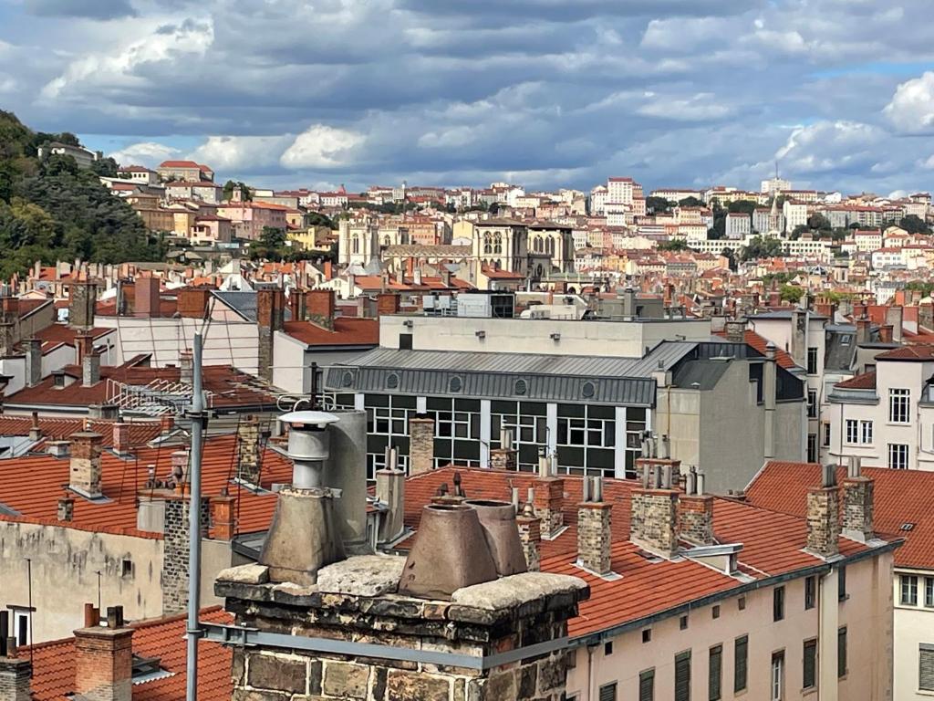 Widok na miasto Lyon z tego apartamentu