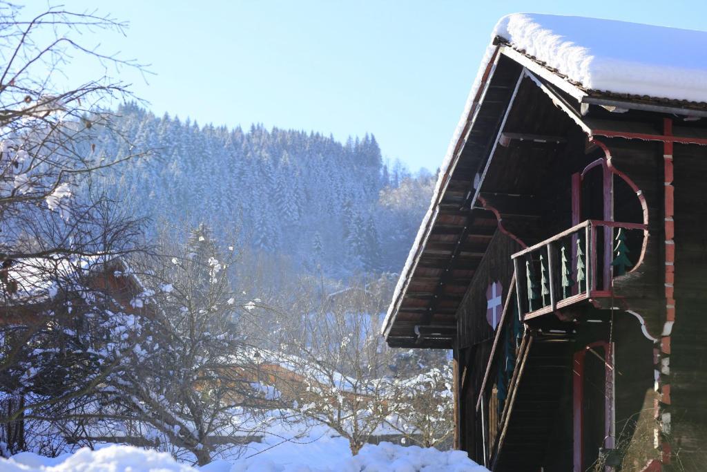 Grand Morillon- C215 Appt vue piste-4 pers v zimě
