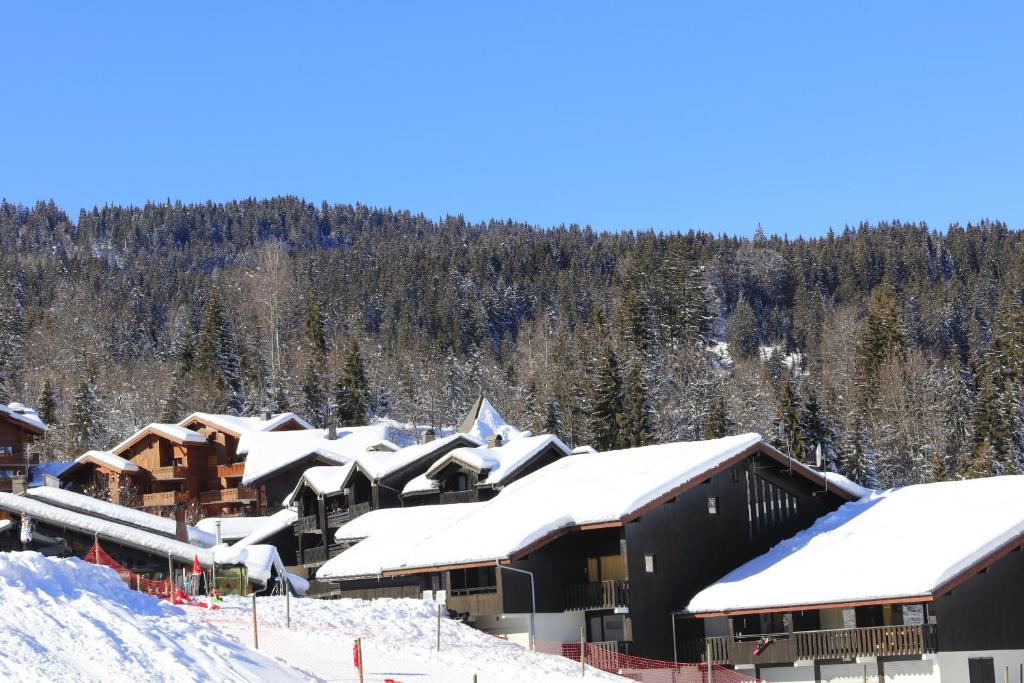 Grand Morillon- C215 Appt vue piste-4 pers v zimě