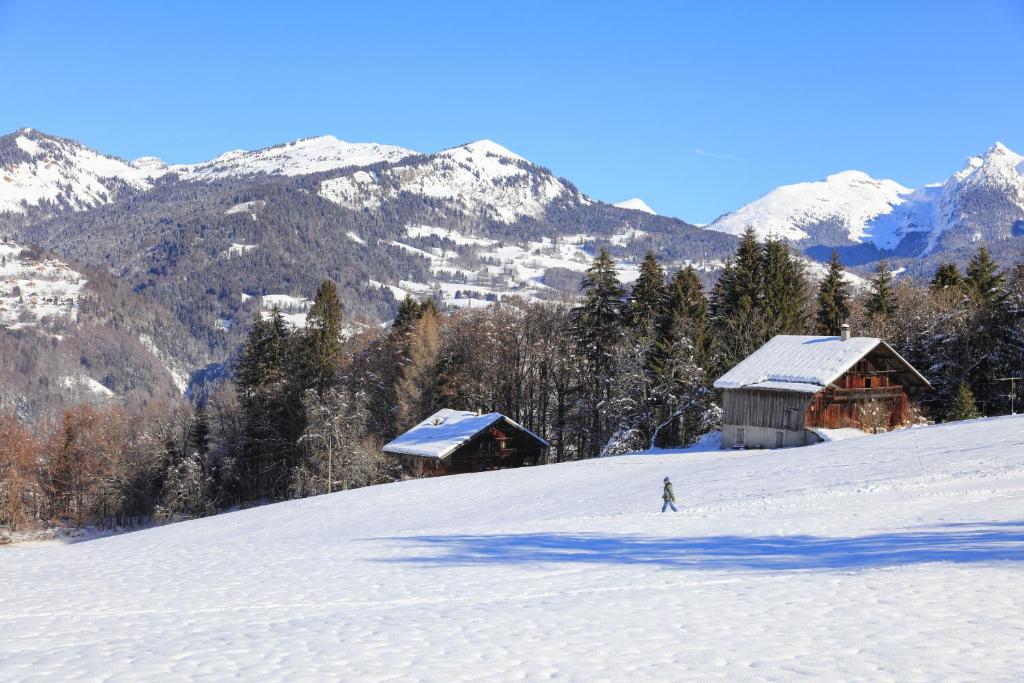 Grand Morillon- C215 Appt vue piste-4 pers v zimě