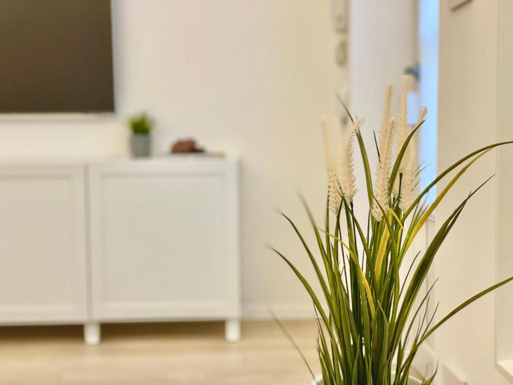 Fotografie z fotogalerie ubytování Casa Manzoni Deluxe MXP Town Center v destinaci Gallarate