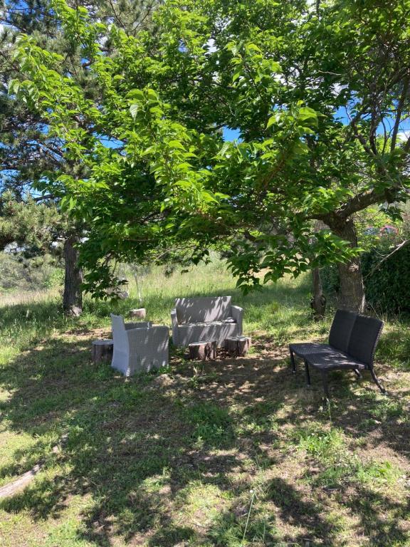 trois chaises et un banc sous un arbre dans l'établissement La Rolande, à Aix-en-Provence