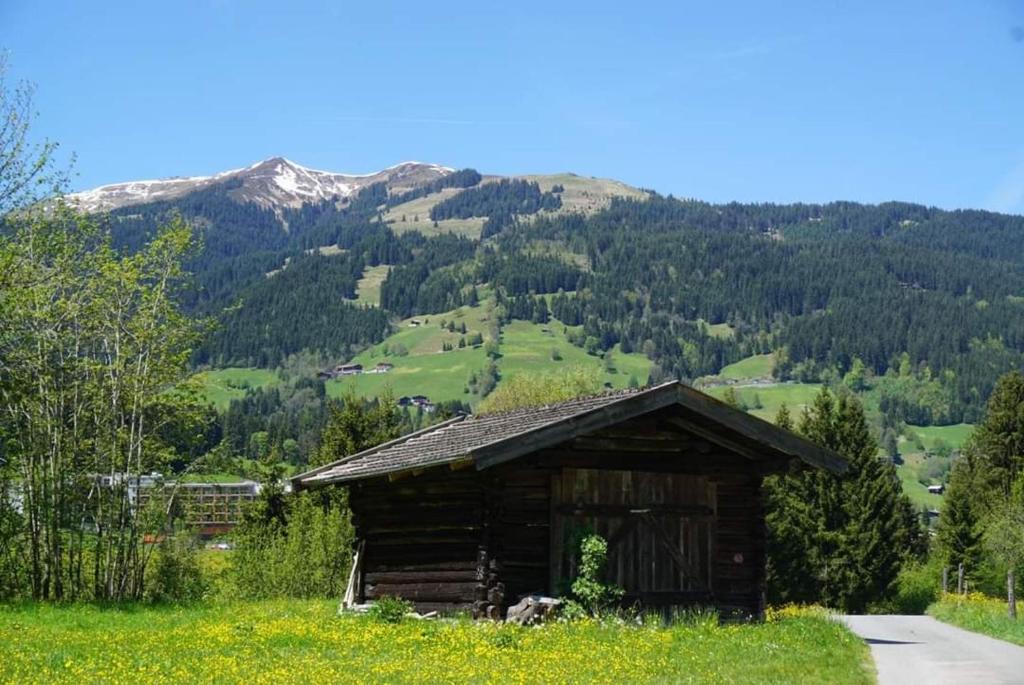 Príroda v okolí apartmánu