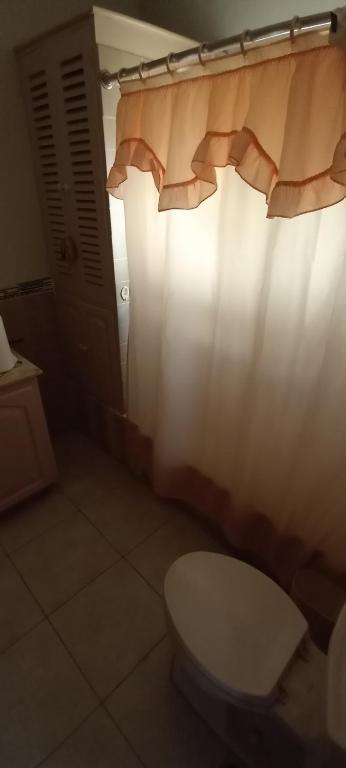 a bathroom with a toilet and a shower curtain at Sunflower Cottage in Hopewell