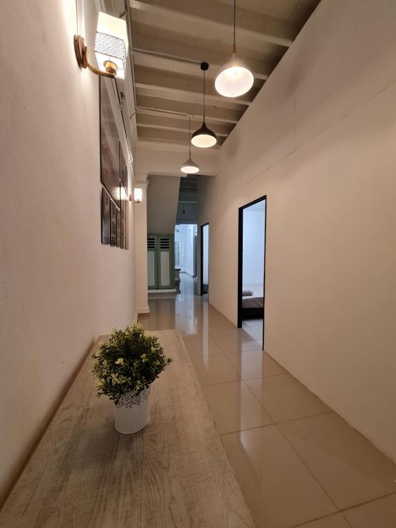 a hallway with a potted plant on the floor at Amilite Heritage Villa in George Town