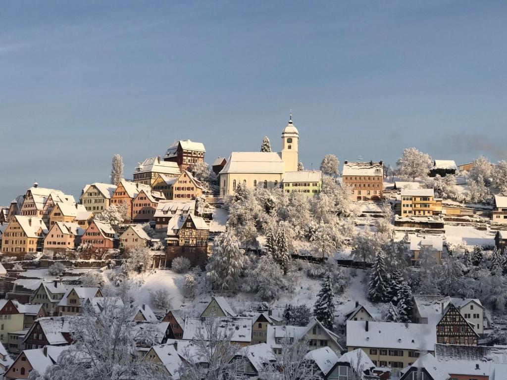 Retro Ferienwohnung mit Schlossblick im Nordschwarzwald - 12