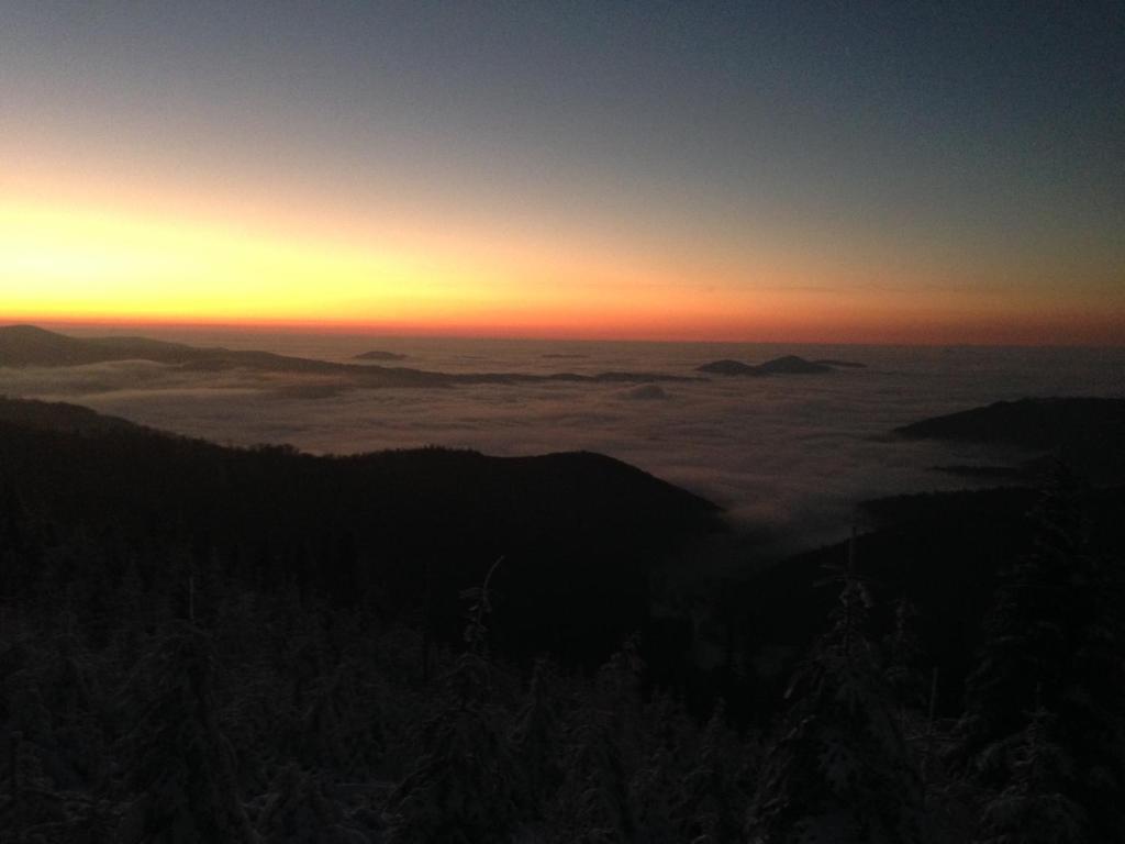 Retro Ferienwohnung mit Schlossblick im Nordschwarzwald - 11