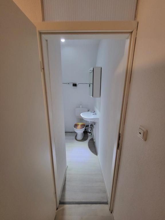 a hallway to a bathroom with a toilet and a sink at Andrei Ferienwohnung in Marktbreit