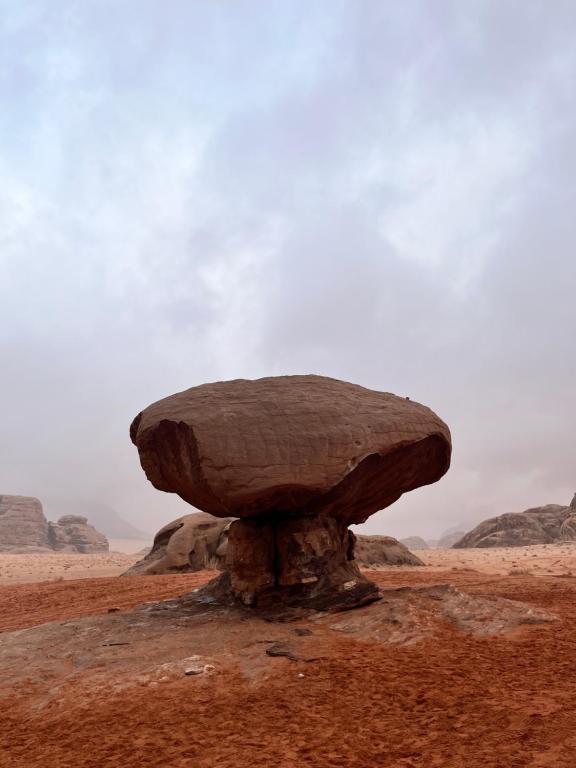 Rum Lawrence of Arabia, Wadi Rum (updated prices 2024)