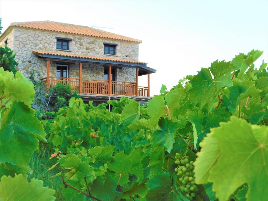 a house in the middle of a bunch of grapes at Abeloklima country house in Vasilikos