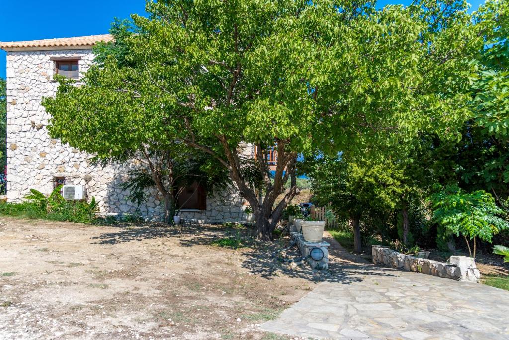 Vrt ispred objekta Abeloklima country house