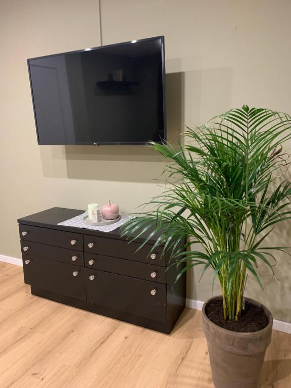 TV a/nebo společenská místnost v ubytování Alba Apartments