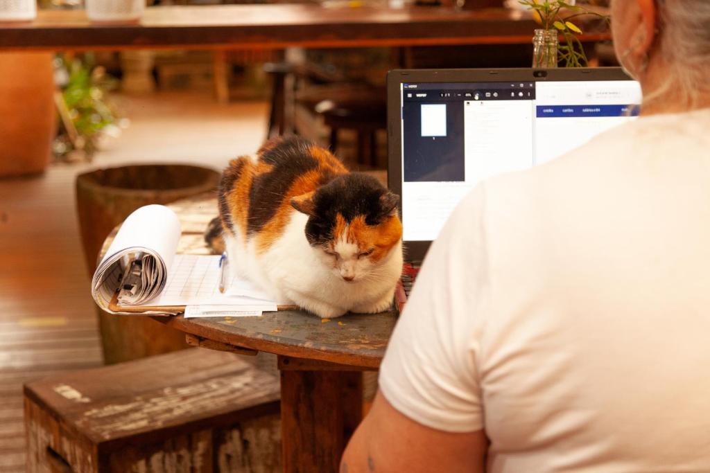 Pet ou pets ficando com hóspedes em Pousada das Meninas