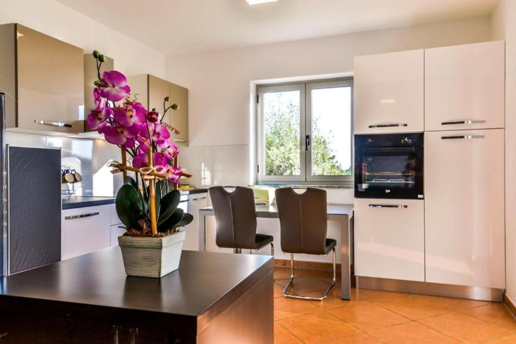 Kuchnia lub aneks kuchenny w obiekcie Apartments Lia-Jolie