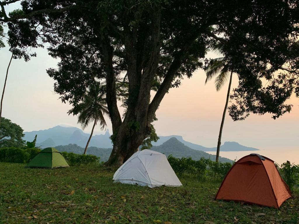 two tents in the grass under a tree at World's View Wild Camping Salaszoi, Principe Island in Santo António