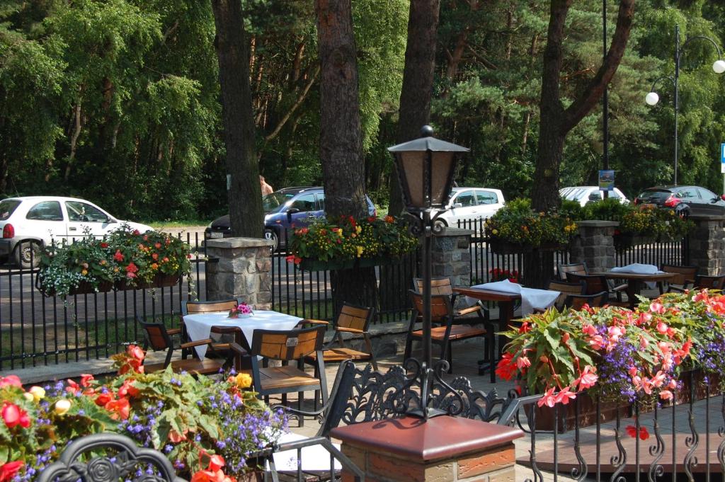 Zahrada ubytování Hotel Wodnik