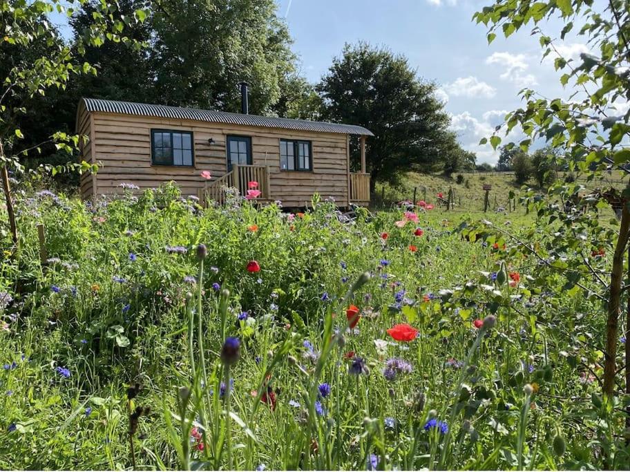 a field of flowers in front of a cabin at Pilgrims Nap in Rainham