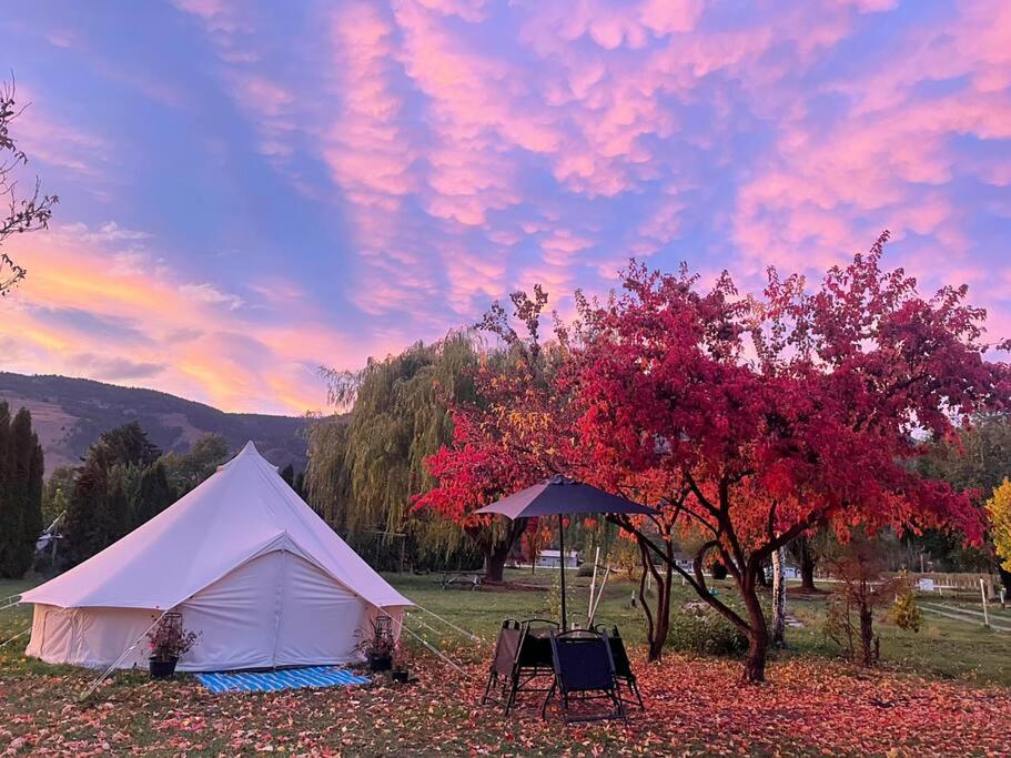 Příroda nedaleko luxury tent