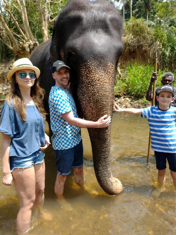 Dambulla Sun Vsh Holiday - 19