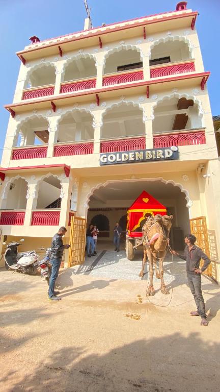 Hosté ubytování Golden Bird Pushkar