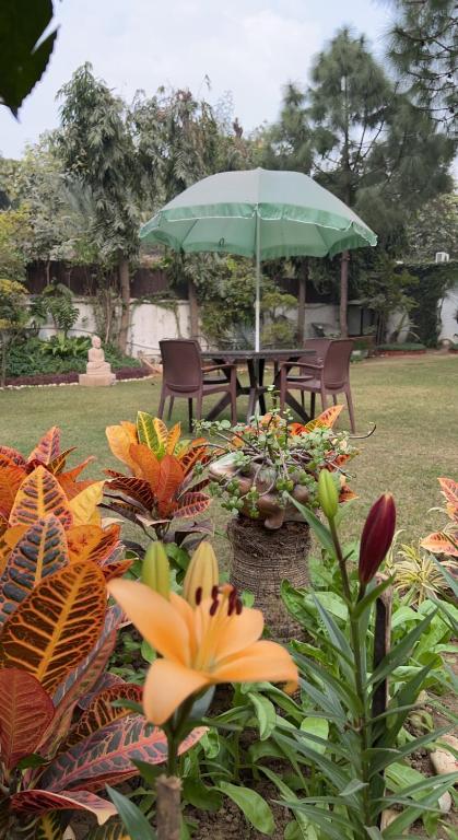 Zahrada ubytování The Stay Inn New Delhi