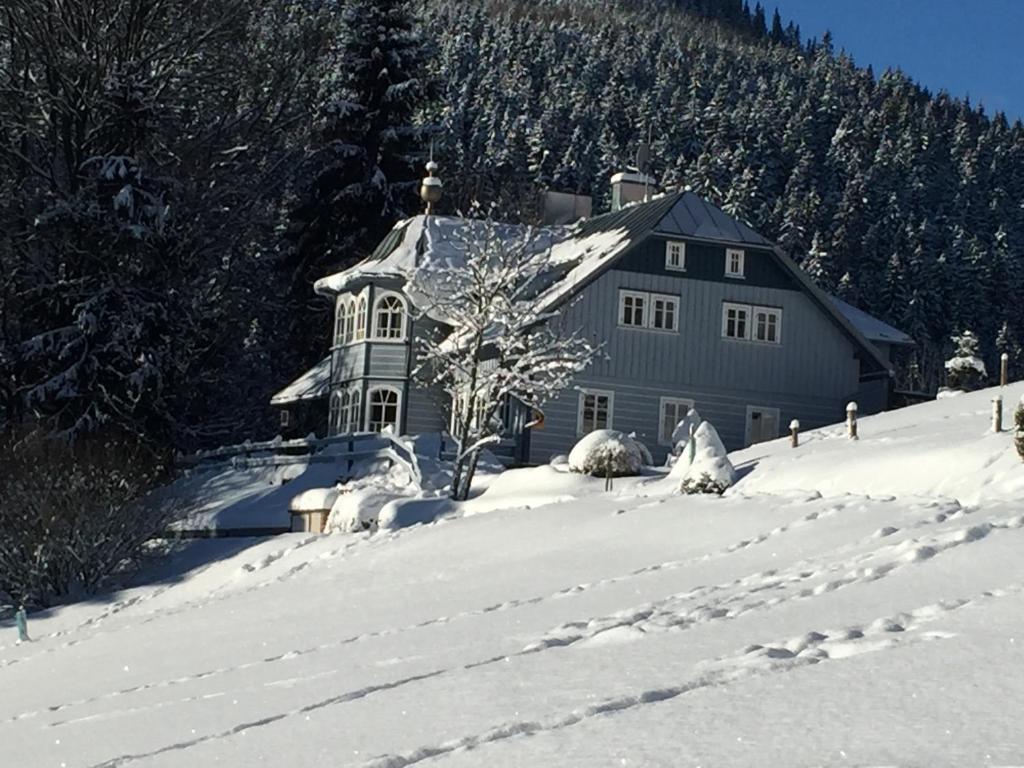 a large house in the snow with trees at Penzion Modrý Pavilon in Dolní Malá Úpa