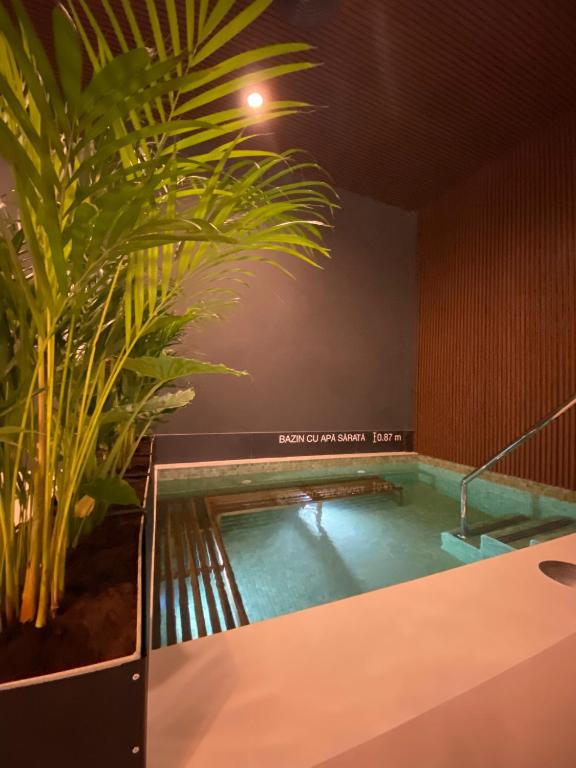 Bazén v ubytování Crama Jelna Resort & Spa nebo v jeho okolí