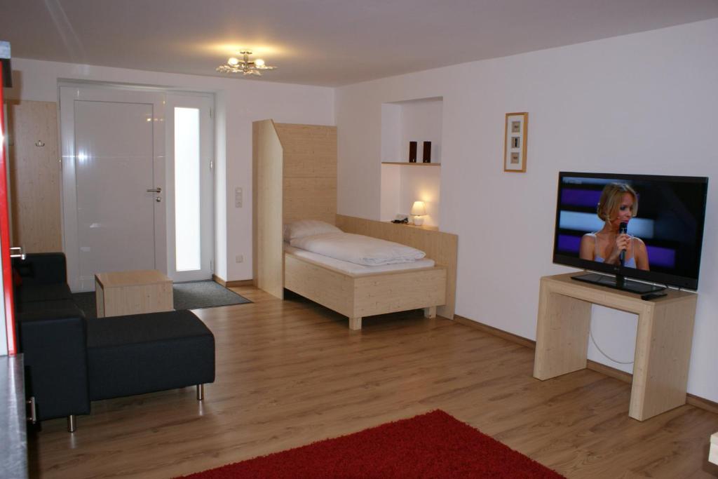 TV a/nebo společenská místnost v ubytování Hotel Apartment Das Au- Gut