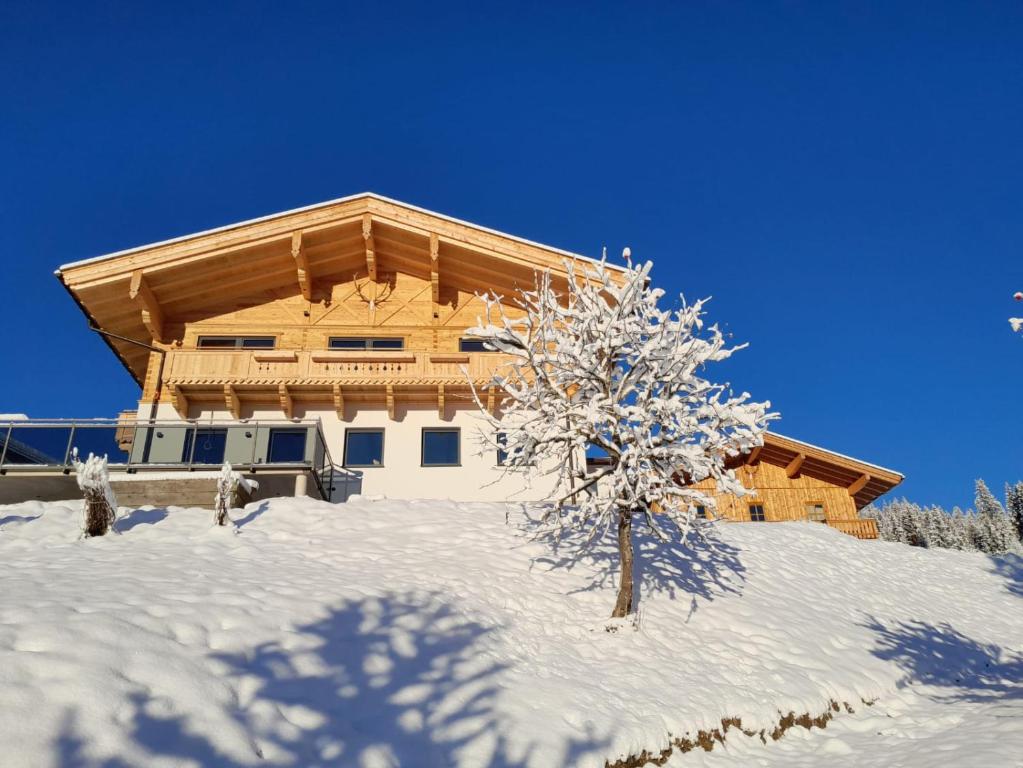 a snow covered house with a tree in front of it at Appartement Bergpanorama Brandegg in Wagrain