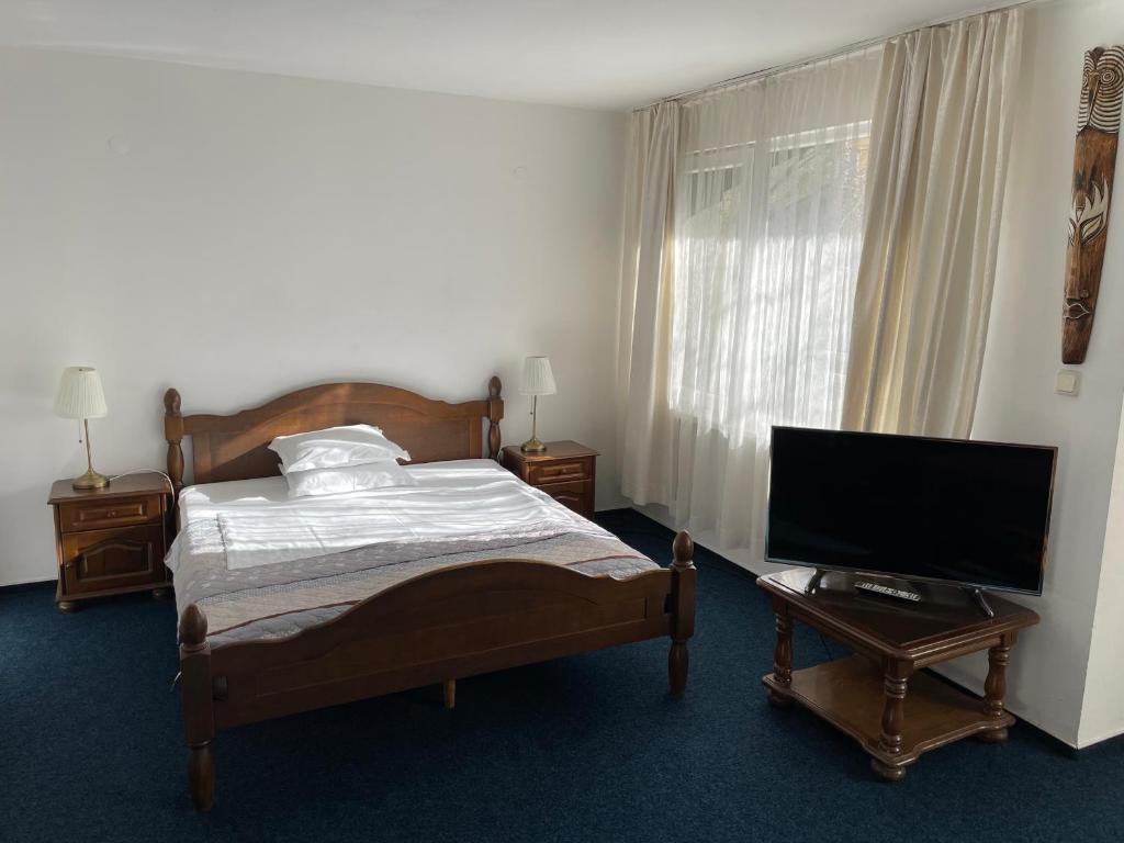 TV a/nebo společenská místnost v ubytování Hotel Rotasar