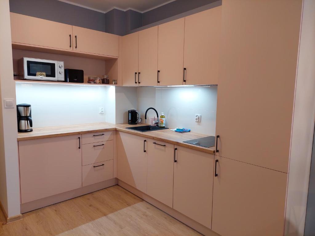 Kuchyňa alebo kuchynka v ubytovaní Apartament Pod Papugami 2 Karpatia Resort