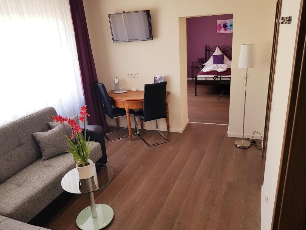 TV a/nebo společenská místnost v ubytování Apado-Hotel garni
